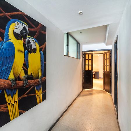 Hotel Elegant Suite Богота Экстерьер фото
